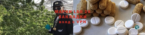 прущие грибы Алексеевка