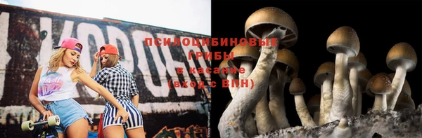 прущие грибы Алексеевка