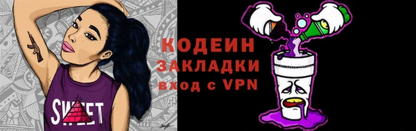 крисы Абаза