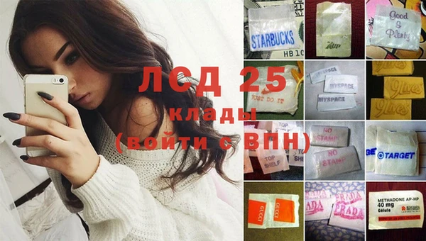 прущие грибы Алексеевка