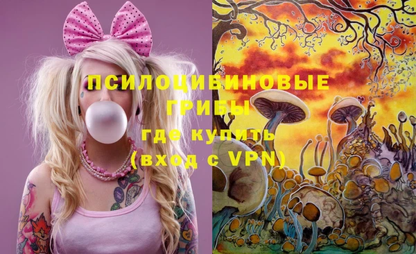 СК Алзамай