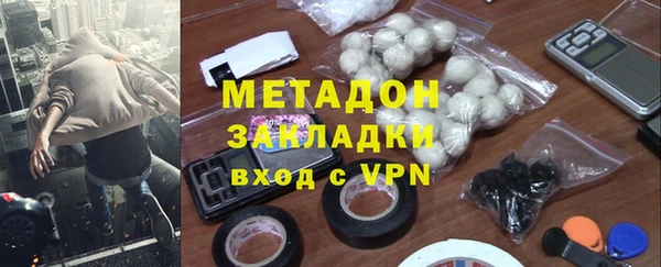 прущие грибы Алексеевка