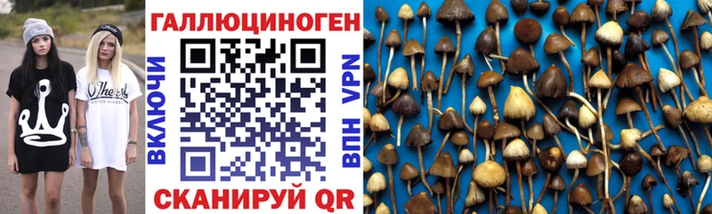 Галлюциногенные грибы GOLDEN TEACHER  Новоаннинский 